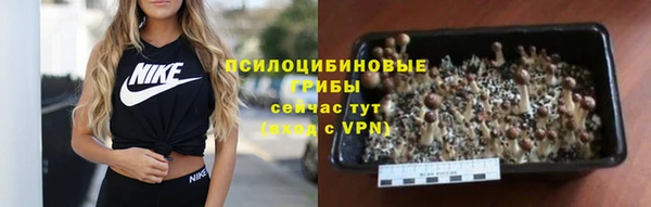 хмурый Баксан