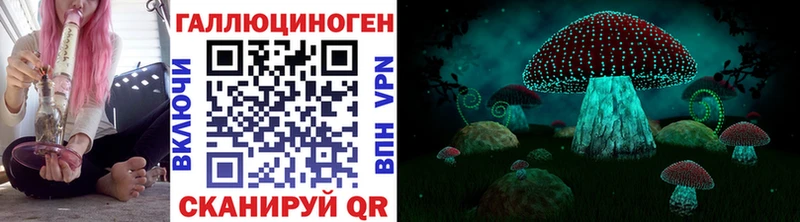 магазин продажи наркотиков  shop наркотические препараты  Псилоцибиновые грибы GOLDEN TEACHER  Княгинино 